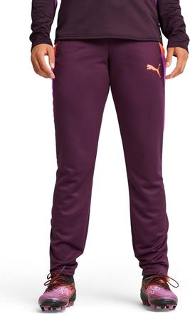 Puma Womens Individualblaze Training Pants