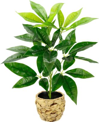 I.GE.A. Kunstpflanze