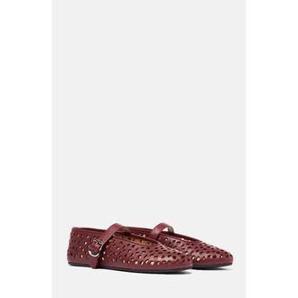 Scarosso Evelyn Ballerinas in Burgundy - Calf at Nordstrom, Size 39.5