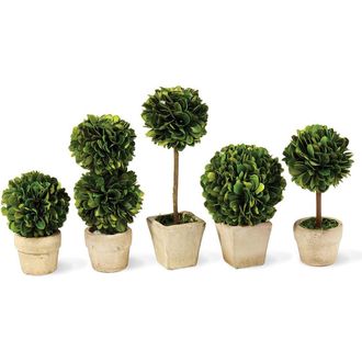 Napa Home & Garden Boxwood Mini Faux (Fake) Topiaries In Pots Set of 5 in Green at Nordstrom