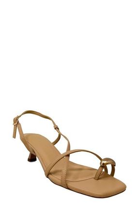 Shushop Harper Slingback Kitten Heel Sandal in Beige at Nordstrom, Size 6.5