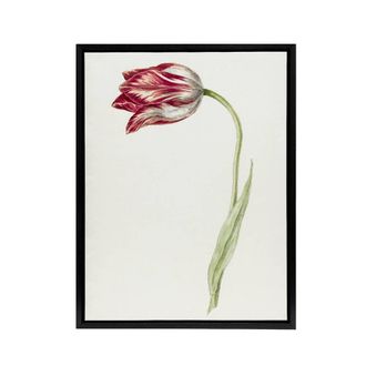 Artery8 Pink Tulip Flower Drawing Jean Bernard Vintage Framed Canvas Wall Art in White | Size: W24 x H32