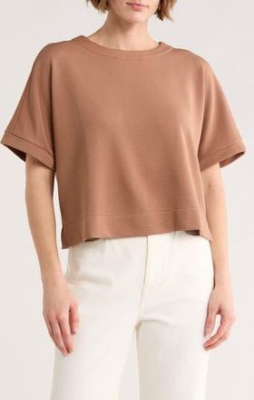 Adrianna Papell Ottoman Rib Button Back Top in Mink at Nordstrom Rack, Size X-Small