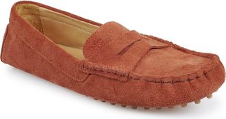 National Comfort Talulah Penny Loafer in Rust Suede at Nordstrom, Size 11