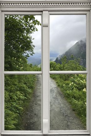 Queence Wandsticker »Waldweg« Wandsticker, Wandbild, selbstklebend, 3D, Fenster