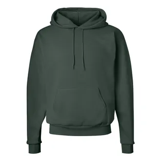 Hanes Ecosmart Hooded Sweatshirt