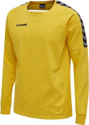Hummel hmlAUTHENTIC TRAINING SWEAT