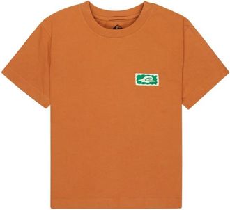 Quiksilver Standard S/S Tee T-Shirt f&uuml;r Damen | orange