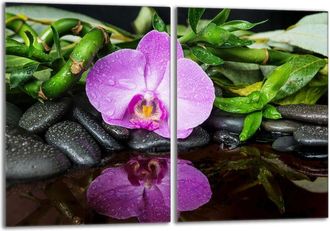 OEM Placa Protectora De Vidrio Para La Estufa 2x40x52 Orchidea