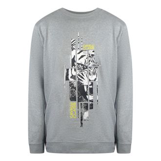 Cavalli Splintered Tiger Grafisch Grijs Sweatshirt