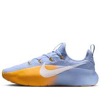 Nike LeBron TR 1 Aluminium University Gold FJ6151-401
