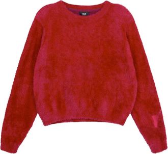 ALIX The Label Alix The Label, Dames, Truien, Rood, Maat: XS Mohair