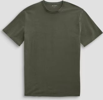 AG - Adriano Goldschmied Mens Bryce Crew Neck Shirt In Forest Green