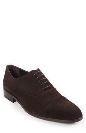 Vella Pais Maxwell Oxford in Dark Brown at Nordstrom Rack, Size 10