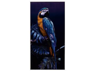 Schubiger M&ouml;bel Bild Papagei in Blau 2