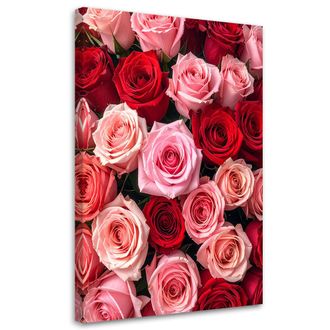 Feeby Cuadro Sobre Lienzo, Rosas Flores Plantas Naturaleza, 70x100