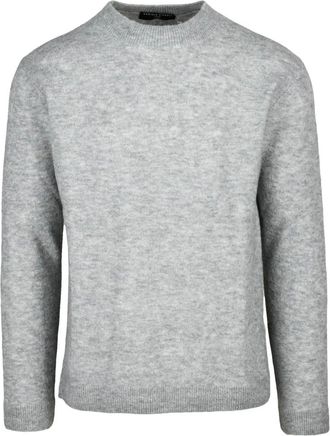 Daniele Fiesoli Truien & Vesten, Heren, Grijs, M, Wol, Maglia