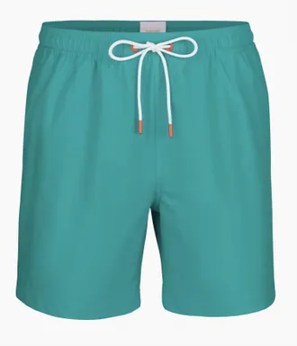 Swims Mens Naxos Solid Swim Short In Cerulean