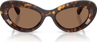 Swarovski 51mm Cat Eye Sunglasses in Havana /Dark Brown at Nordstrom