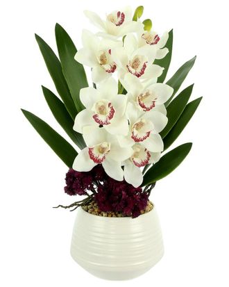Creative Displays Inc. White & Burgundy Orchid & Sedum Arranged In A White Ceramic Pot