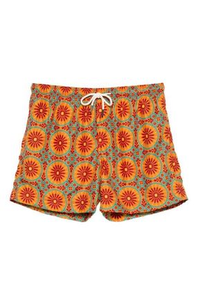Peninsula Spargiotto Swim Shorts in Multicolor at Nordstrom, Size Small