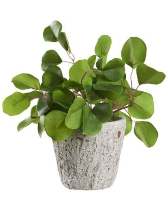 D&W Silks Eucalyptus In Small Weathered Oak Planter