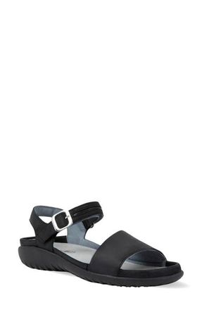 Naot Nagoya Sandal in Ebony Nubuck/Black Leather at Nordstrom, Size 10Us