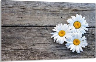 OEM Placa Protectora De Vidrio Para La Estufa 80x52 Stokrotka