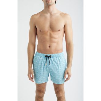Save The Duck Ademir Swim Trunks in Japanese Waves - Ducker at Nordstrom, Size Xx-Large