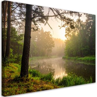 Feeby Cuadro En Lienzo, Lago En El Bosque Niebla Por La Ma&ntilde;ana, 100x70