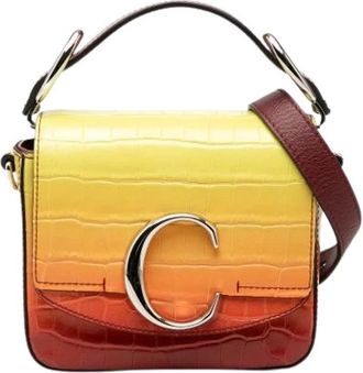 Chlo&eacute; Pre-owned Mini Satchel - Dames - Vintage Mini Tas - Veelkleurig - ONE Size - Leer - Vintage
