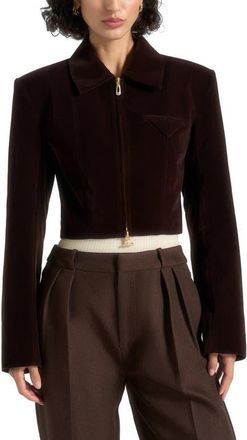Mani&egrave;re De Voir Adina Velvet Cropped Jacket in Brown at Nordstrom, Size 10