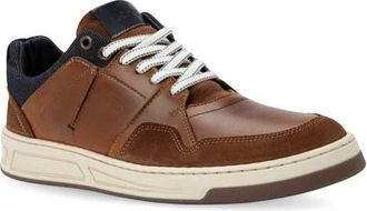 Naot Speed Sneaker in Brown Navy Leather Combo at Nordstrom, Size 41