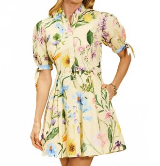 Mestiza New York A-Line Mini Dress In Beige