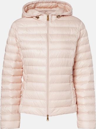 Moncler Igelhood down jacket