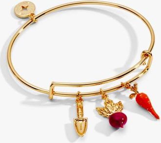 Alex and Ani Farmers Market Multi Charm Bangle in Gold at Nordstrom