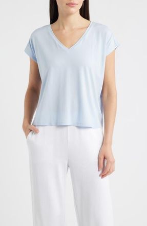 Eileen Fisher V-Neck Boxy T-Shirt in Airy Blue at Nordstrom, Size X-Small