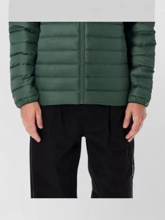 Patagonia down puffer hooded jacket