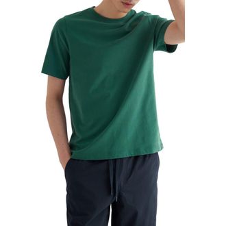 Seasalt Cornwall Merthen T-Shirt in Ruscus Leaf at Nordstrom, Size Xx-Large