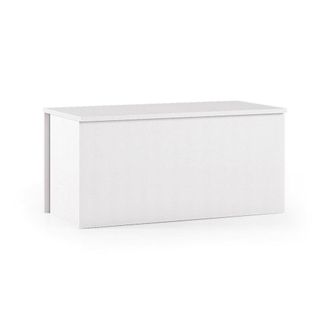 Dmora Baule Miltonia, Capiente Box Contenitore Multiuso, Cassapanca Moderna, 100% Made In Italy, Cm 90x45h45, Bianco, Con Imballo Rinforzato - Dmora