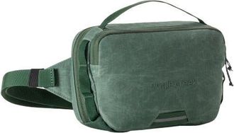 Eagle Creek Explore Hip Pack in Grass Green at Nordstrom