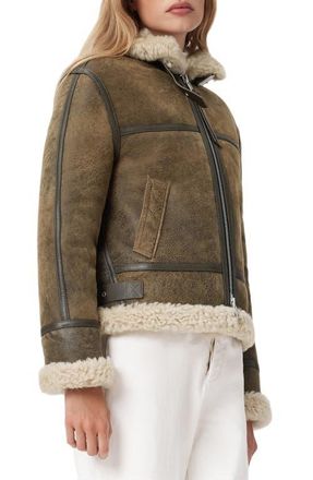 AllSaints Lorel Leather & Genuine Shearling Flying Jacket in Vintage Brown at Nordstrom, Size X-Small