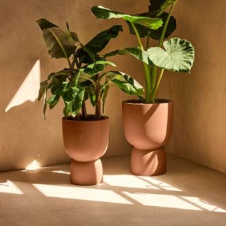 Charles Bentley Elho Amber Coupe 41 Brown Indoor & Outdoor Plant Pot