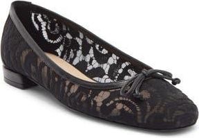 Stuart Weitzman Arabella Lace Ballet Flat in Black at Nordstrom Rack, Size 10.5