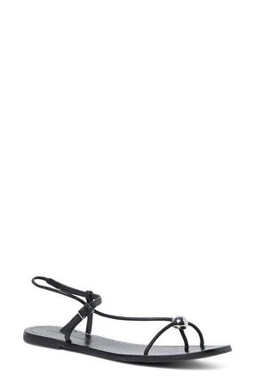 Loeffler Randall Lara Ankle Strap Sandal in Black at Nordstrom, Size 10.5
