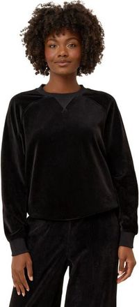 Pact Pure Velour Crew Sweatshirt in Black at Nordstrom, Size Medium