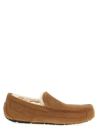 UGG Ascot Slipper