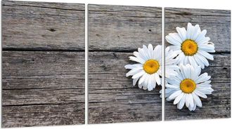 OEM Placa Protectora De Vidrio Para Estufa 3x30x52