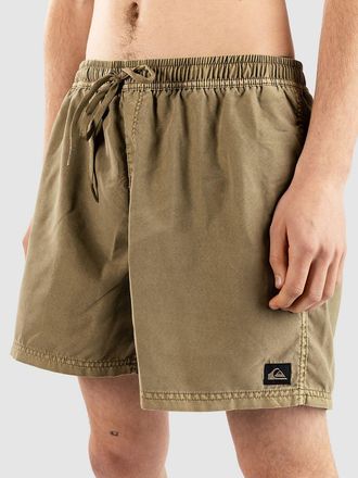 Quiksilver Everyday Surfwash Volley 15 Boardshorts groen