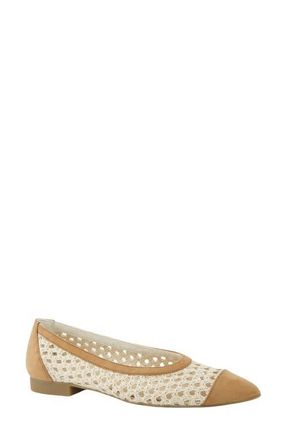 Paul Green Daisy Pointed Toe Flat in Sisal Nature Nubuk Diva at Nordstrom, Size 10.5Us